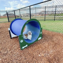 Unleash the happiness! a dog inside a pet toy