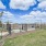Dog Park 